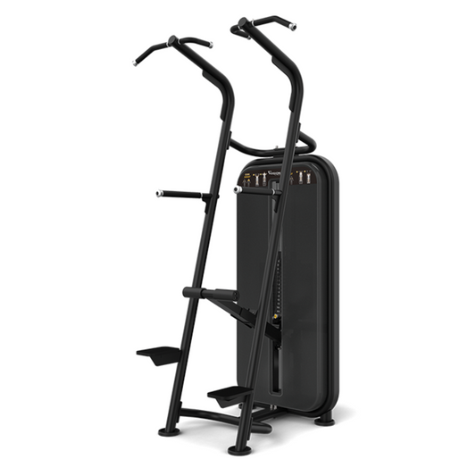 Vision Fitness Chin/ Dip Assist