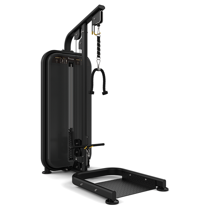 Vision Fitness Biceps/ Triceps