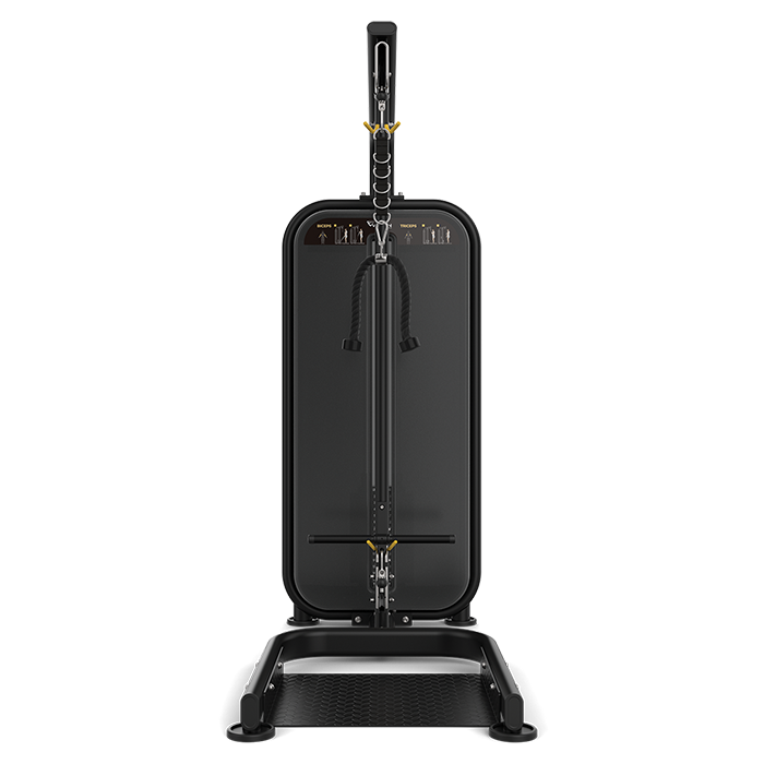 Vision Fitness Biceps/ Triceps