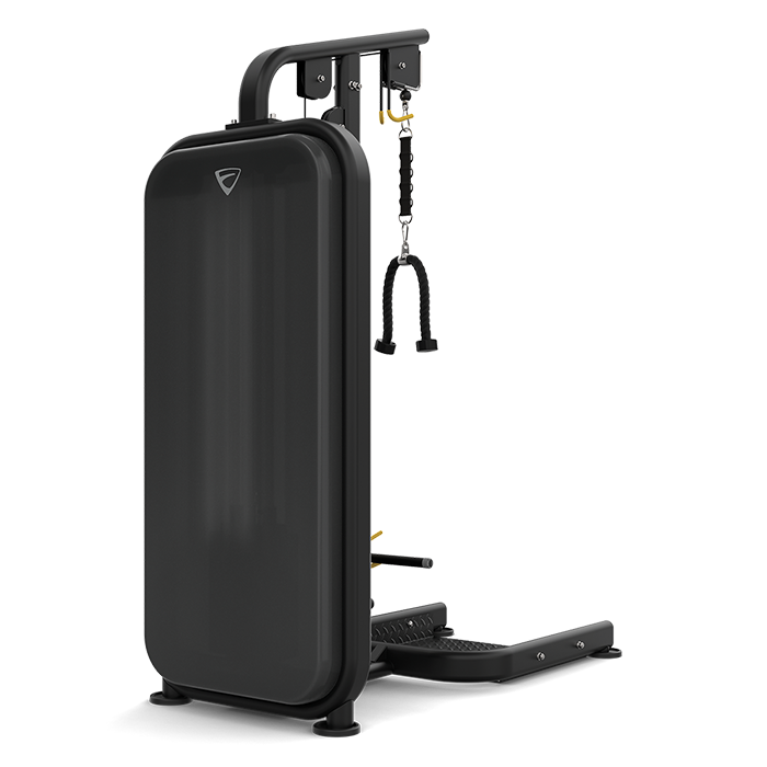 Vision Fitness Biceps/ Triceps