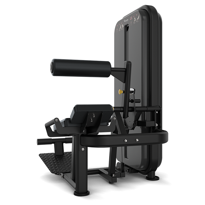 Vision Fitness Ab/ Low Back