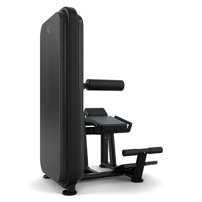 Vision Fitness Ab/ Low Back