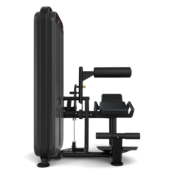 Vision Fitness Ab/ Low Back