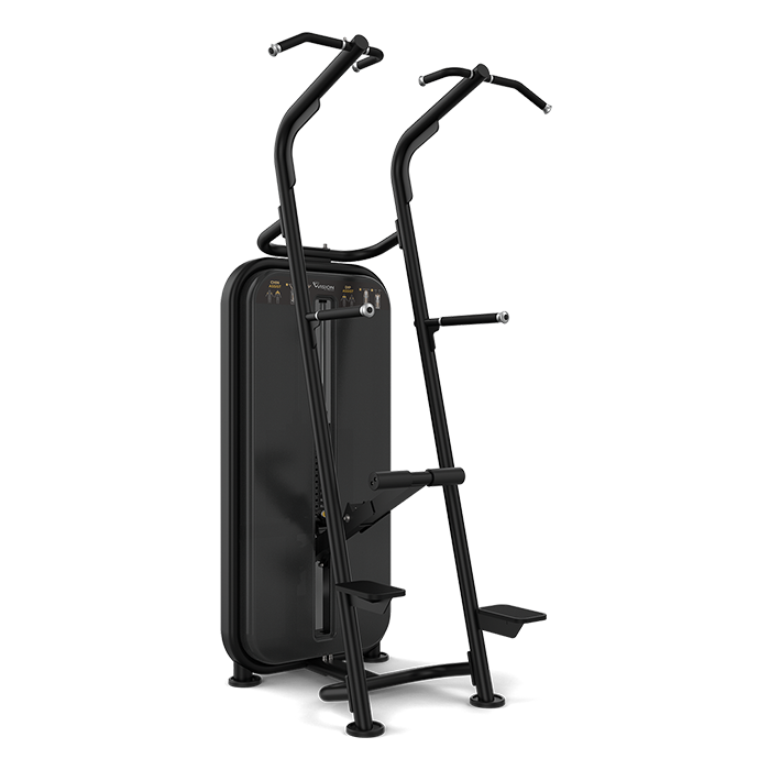 Vision Fitness Chin/ Dip Assist