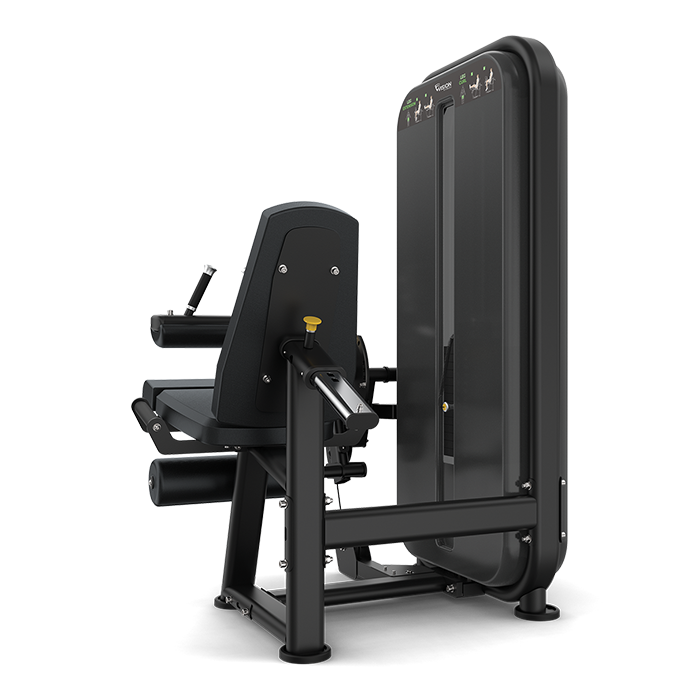 Vision Fitness Leg Extension/ Leg Curl