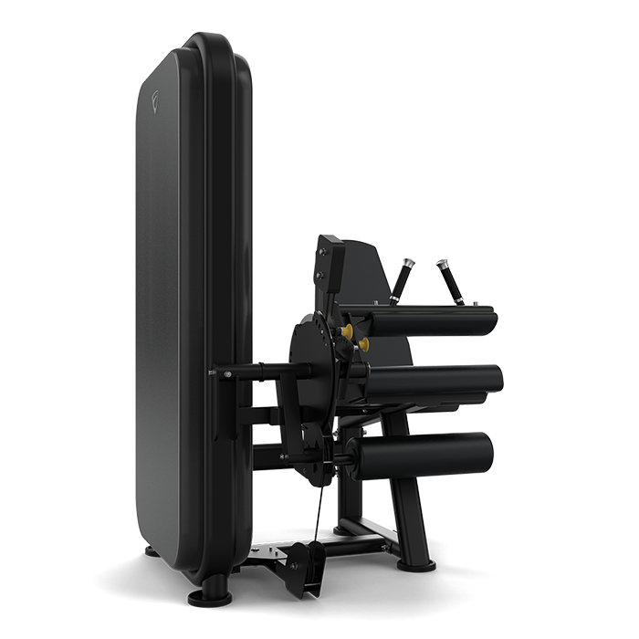 Vision Fitness Leg Extension/ Leg Curl